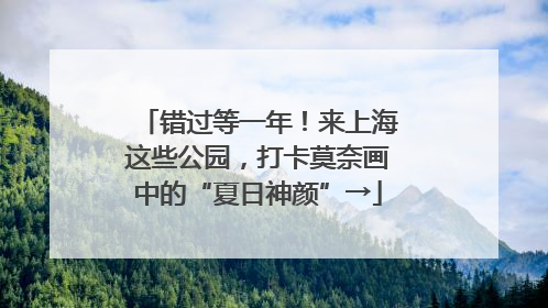 错过等一年！来上海这些公园，打卡莫奈画中的“夏日神颜”→